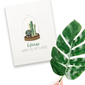 Bloom Ciltli Defter
