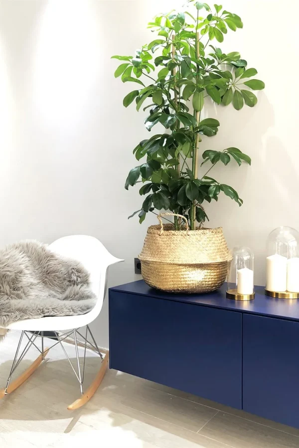 Gold Katlanır Hasır Sepet