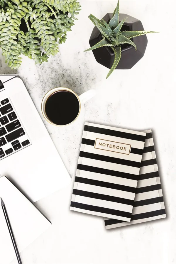 Lina ciltli defter